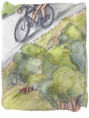 TSV-Abteilung_Radfahren8